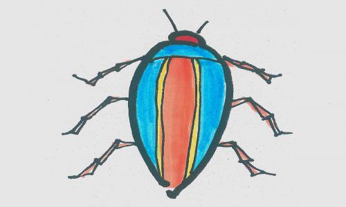 二年级的儿童画详细步骤大全 漂亮儿童画甲虫怎么画