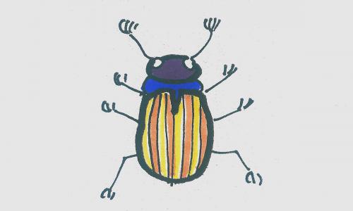 5—8岁儿童手绘画大全 实用彩色简笔画甲虫怎么画