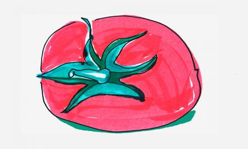 3-6岁绘画详细步骤 可爱彩色简笔画西红柿怎么画