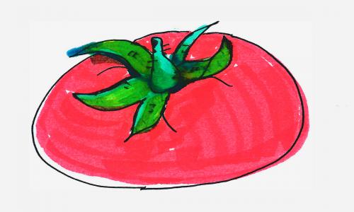8一9岁儿童画图解 好看图画彩色简笔画西红柿的画法