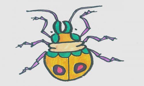 5—7岁少儿儿童画详细过程 好看彩色儿童画甲虫的画法