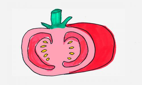 4岁孩子画画大全 可爱小学生简笔画西红柿怎么画