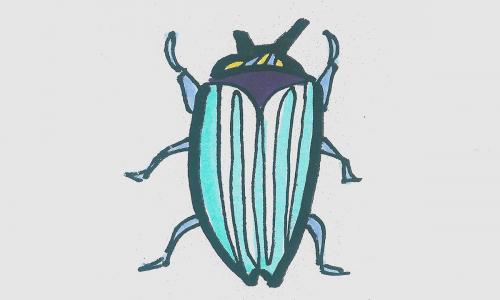 手绘画详细过程大全 简单彩色儿童画甲虫怎么画