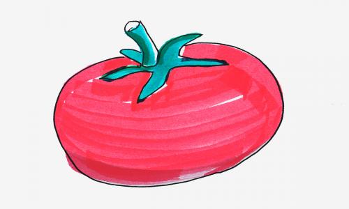 四年级儿童画大全 超简单简笔画西红柿怎么画