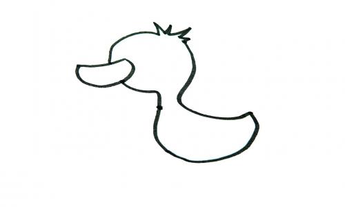 简笔画动物大全-怎么画鸭子的画法步骤图解