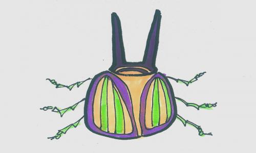 8岁美术入门 好看彩色简笔画甲虫的画法