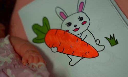 8一9岁儿童画画步骤大全 漂亮图画彩色简笔画动物的画法
