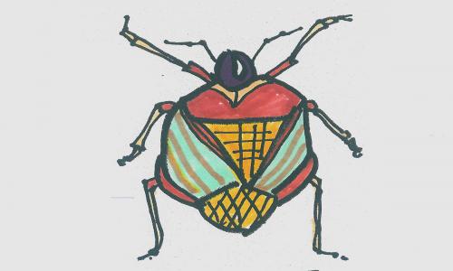 5—8岁的美术画图解一等奖 创意彩色简笔画甲虫的画法