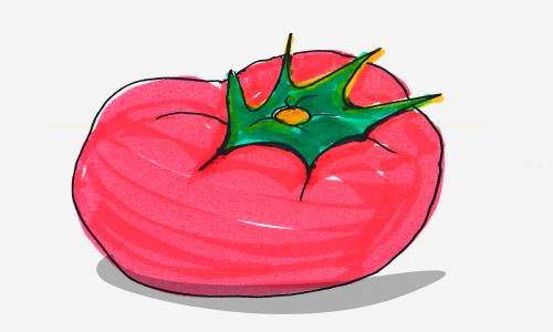 六年级幼儿学画详细步骤大全 漂亮简笔画西红柿怎么画