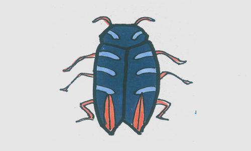 10岁～12岁中难度美术画第一名 超简单儿童画甲虫的画法